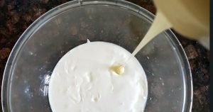 Biscuit  Pudding Recipe with condensed milk